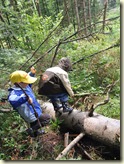 August - Urlaub im Bayerischen Wald