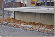 Der Bahnsteig als Windfang