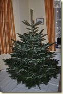 der Weihnachtsbaum 2012