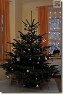 der geschmückte Weihnachtsbaum 2012