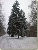 Schnee in Stuttgart
