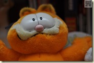 Garfield