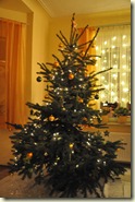 unser Weihnachtsbaum 2009