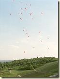Luftballons - danke für's Interesse