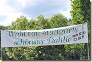 Wahl der schönsten Dahlie