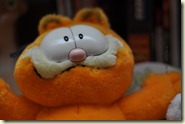 Kater Garfield feiert Geburtstag