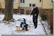 rund herum um den Kastanienbaum