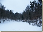 im Wald unterwegs