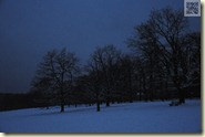 abendlicher Winterwald in Stuttgart