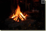 das Lagerfeuer im Garten