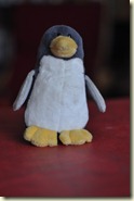 der kleine Pinguin