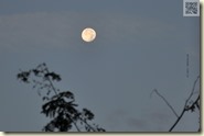 der Vollmond über Stuttgart