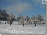 Sonnenschein auf der Piste