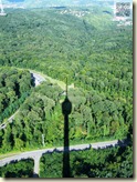Schatten über dem Wald