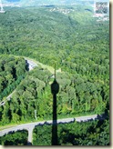 Schatten über dem Wald