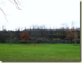 Standort für den Rosensteinbahnhof