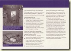 Konzept zur Stadttauben-Betreuung (Seite 3)