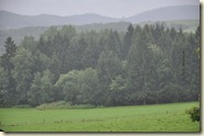 Bayerischer Wald mit Regen