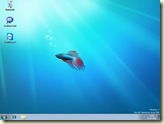 Betta-Fisch auf dem Windows-Desktop