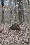 ZUDAMA-Stein-Figur im Buchwald