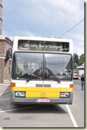 Bus mit Gras auf dem Dach